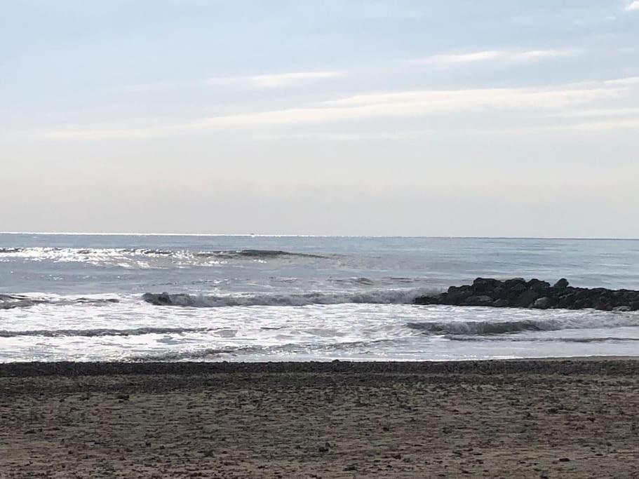 Situation Ideale F2, 2 Eme Ligne,Climatise, Plage 팔라바 레 플로 외부 사진